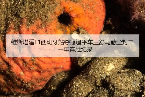 维斯塔潘F1西班牙站夺冠追平车王舒马赫尘封二十一年连胜纪录